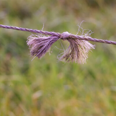 Links