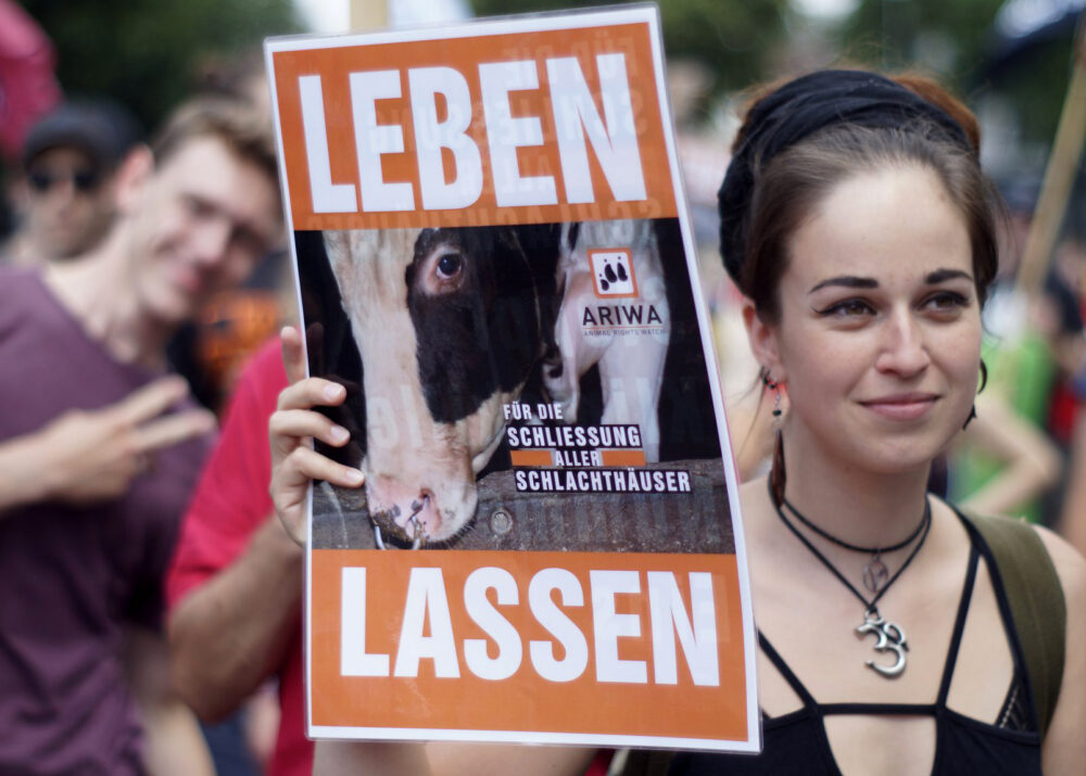 Großdemo in Göttingen: Schließung aller Schlachthäuser 2018